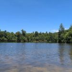 Lake Powhatan