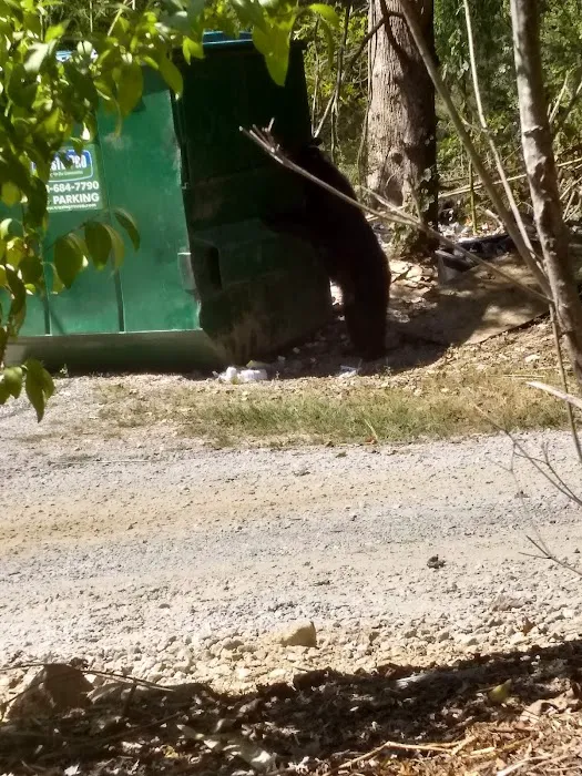 Ashley Creek RV Park 7