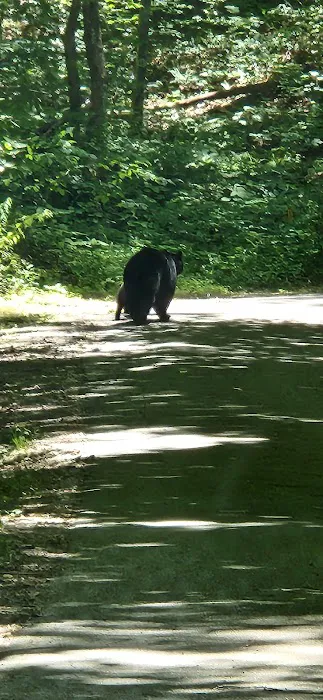 Ashley Creek RV Park 8