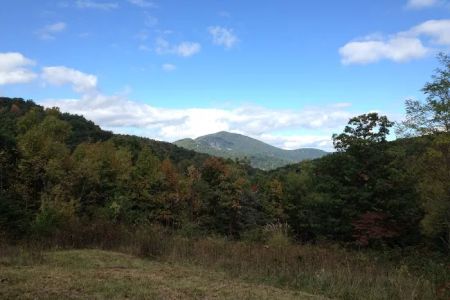 Drala Point Campgrounds