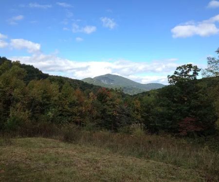 Drala Point Campgrounds