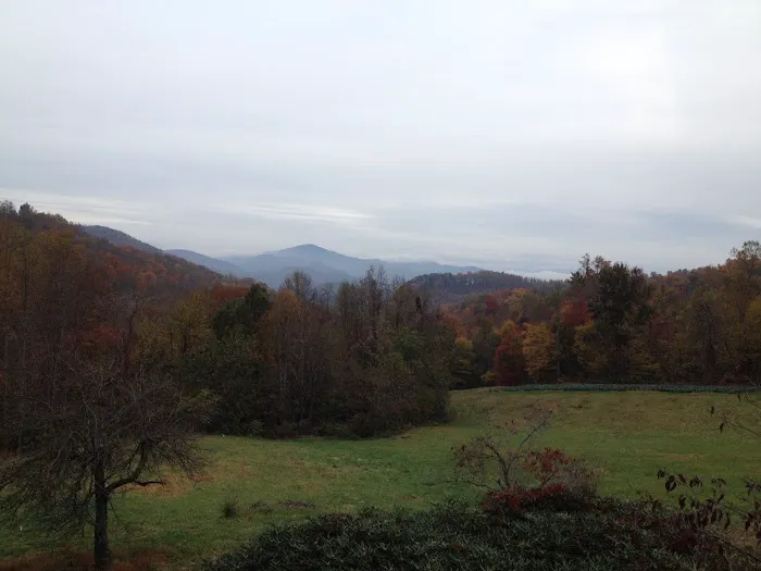 Drala Point Campgrounds 9
