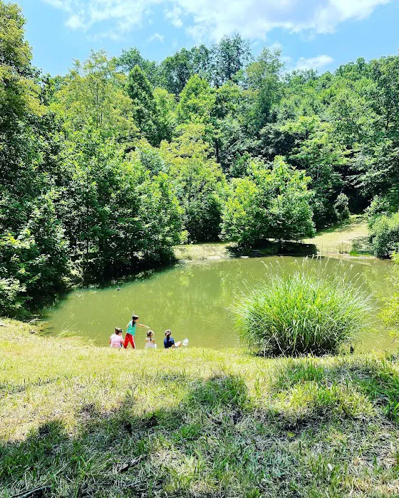 Drala Point Campgrounds 5