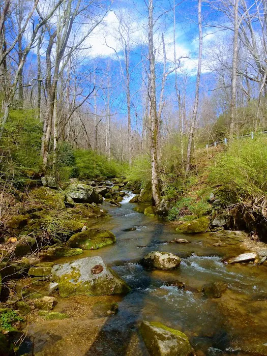 Creekside Mountain Camping 5