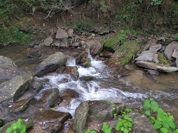 Creekside Mountain Camping 6