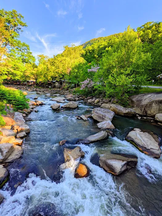 Hickory Nut Falls Family Campground 4