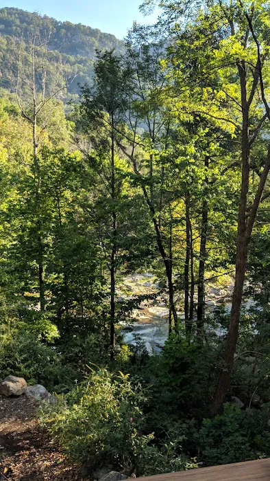 Hickory Nut Falls Family Campground 8