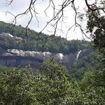 Dogwood RV Park