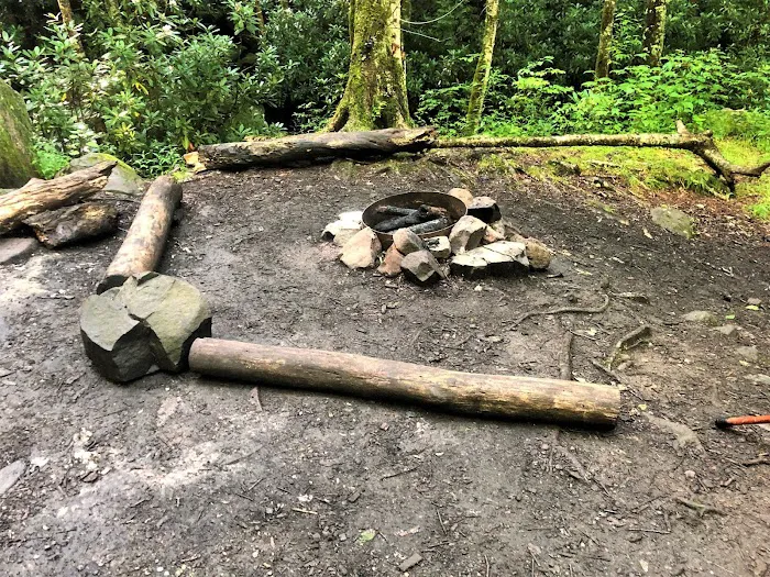 Backcountry Campsite #68 8