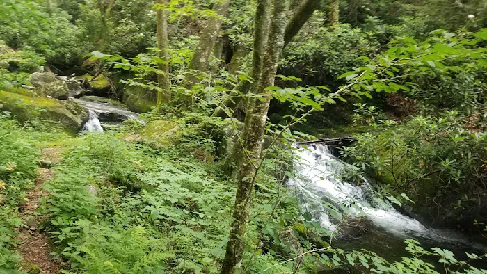 Backcountry Campsite #68 5
