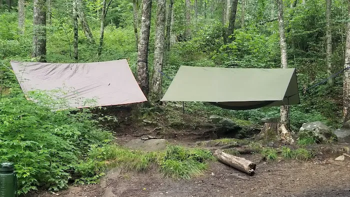 Backcountry Campsite #68 6