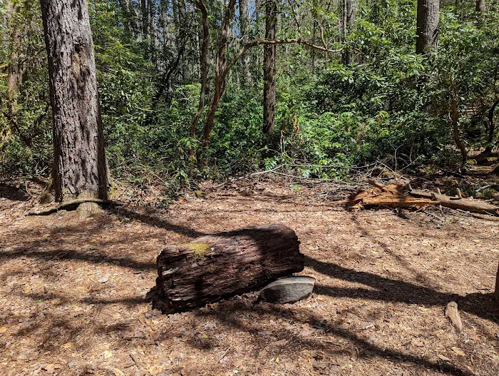 Backcountry Camp 59 3