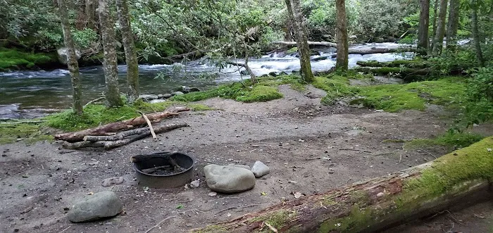 Backcountry Campsite #56 1