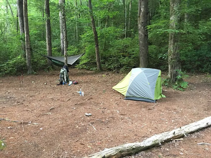 Backcountry Campsite #56 3
