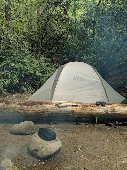 Backcountry Campsite #56 4