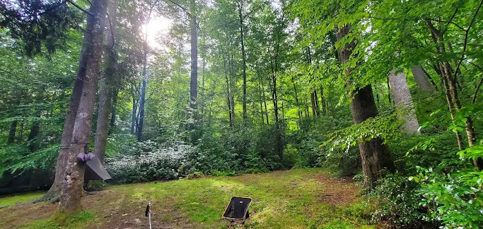 Backcountry Camp 55 4