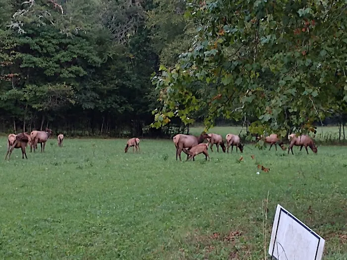 Tow String Horse Camp 3
