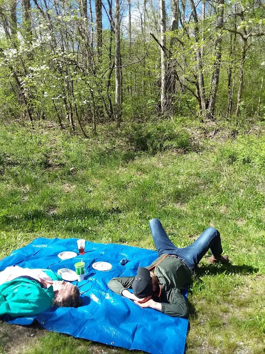 Tow String Horse Camp 6