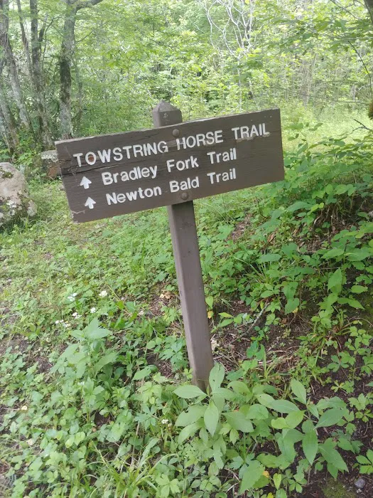 Tow String Horse Camp 9
