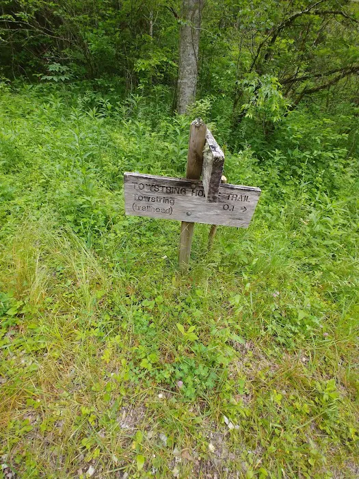 Tow String Horse Camp 8