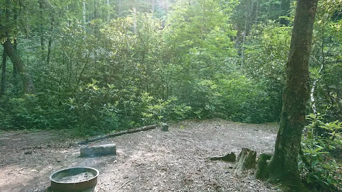 Backcountry Campsite #50 1