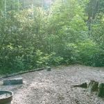 Backcountry Campsite #50