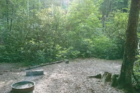Backcountry Campsite #50