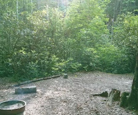 Backcountry Campsite #50