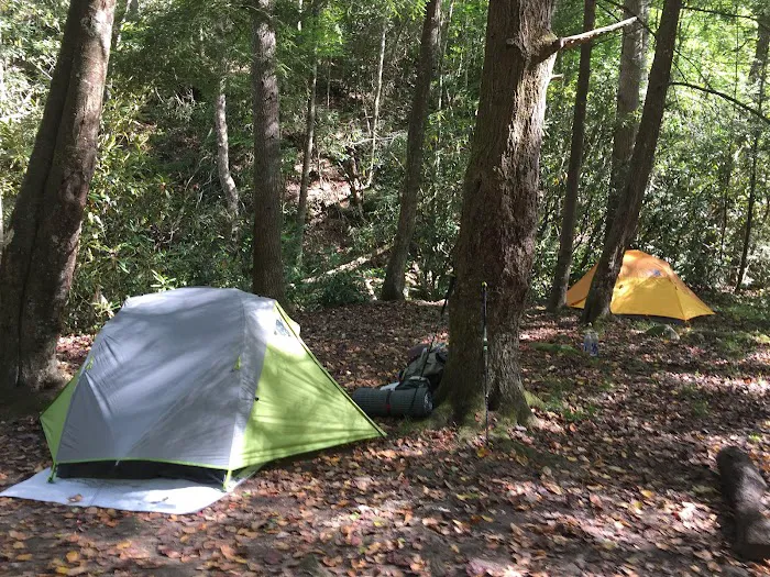 Backcountry Campsite #50 2