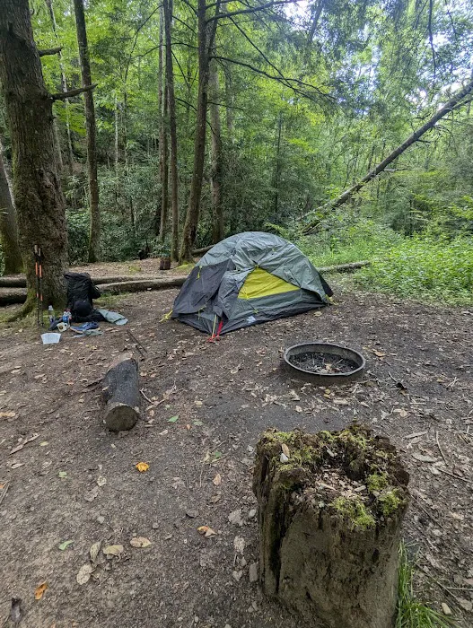 Backcountry Campsite #50 4