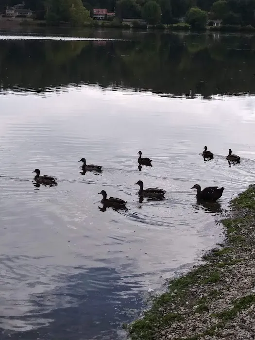 Lake Junaluska Campground 9