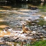 Cross Creek RV Park