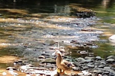 Cross Creek RV Park
