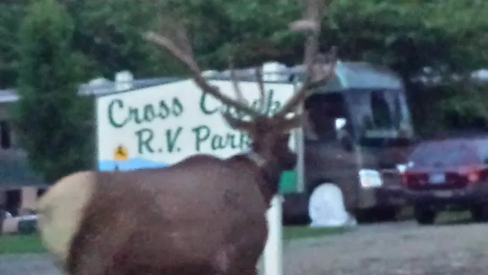 Cross Creek RV Park 5
