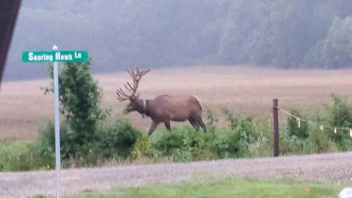 Cross Creek RV Park 8