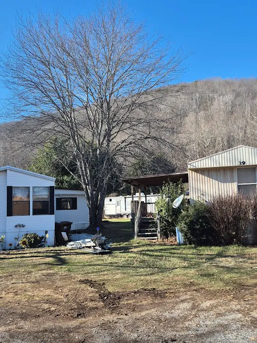 Maggie Valley Estates 1