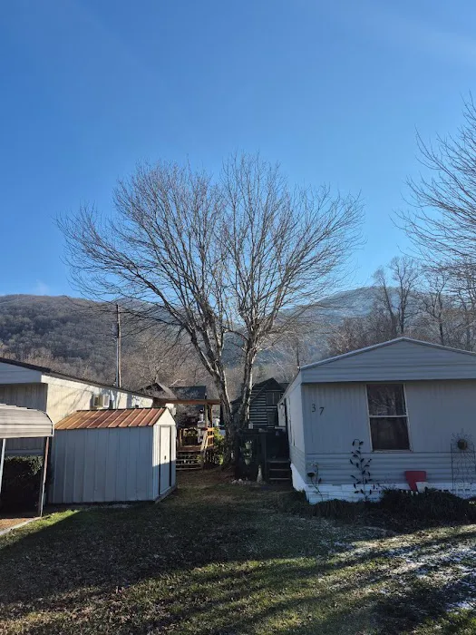 Maggie Valley Estates 5