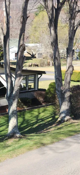 Maggie Valley Estates 7