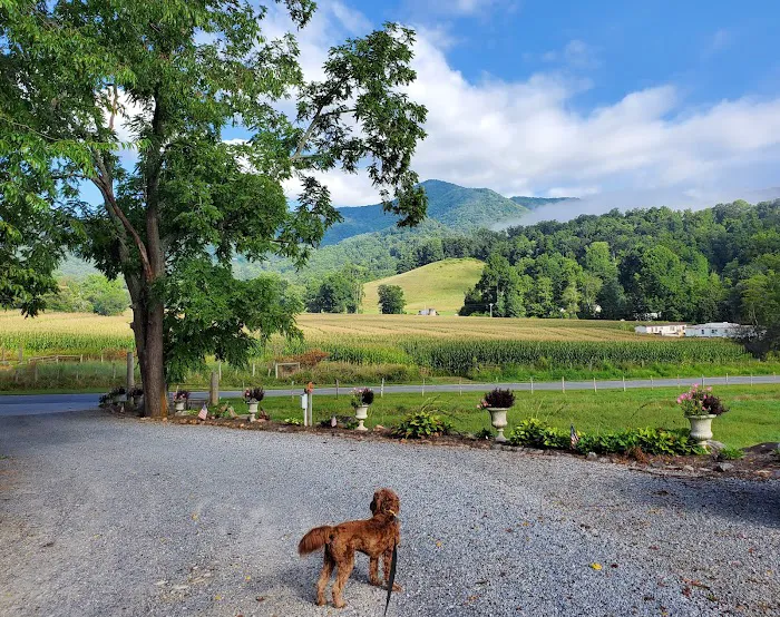 Trails End RV Park 8