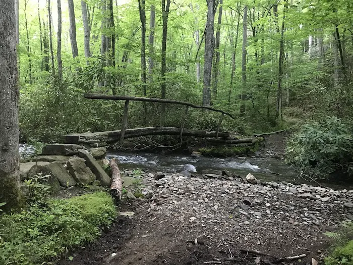 Backcountry Camp 41 1