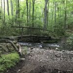 Backcountry Camp 41