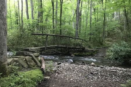 Backcountry Camp 41
