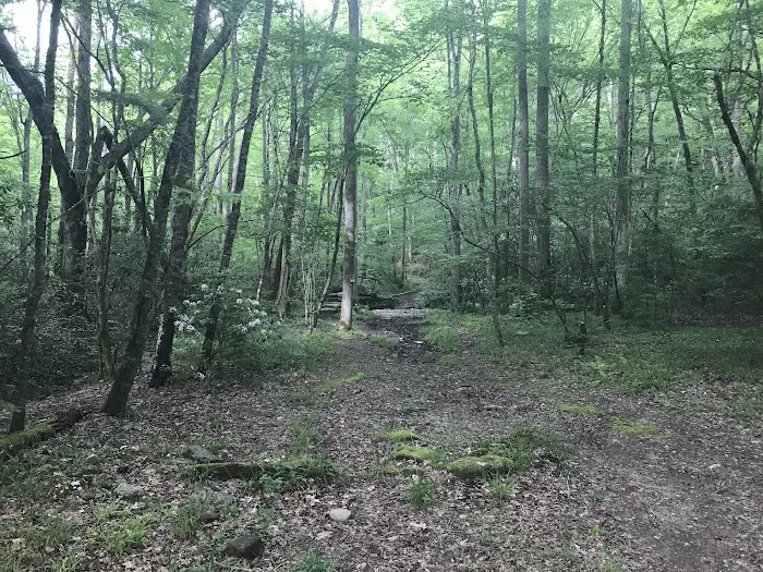 Backcountry Camp 41 2