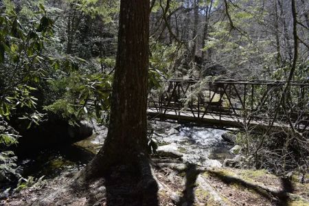 Backcountry Camp 48