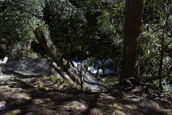 Backcountry Camp 48 4