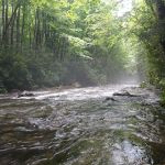 Round Bottom Campground