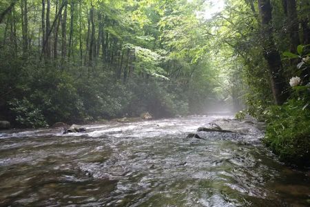 Round Bottom Campground