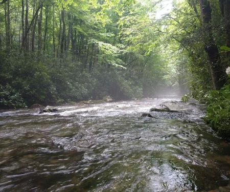 Round Bottom Campground