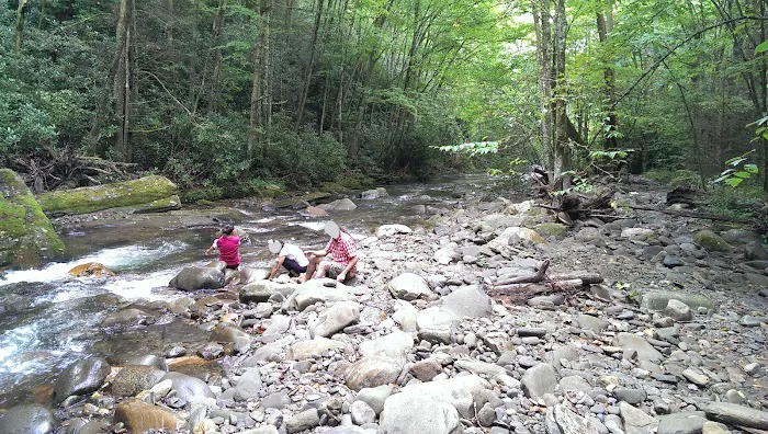 Round Bottom Campground 6