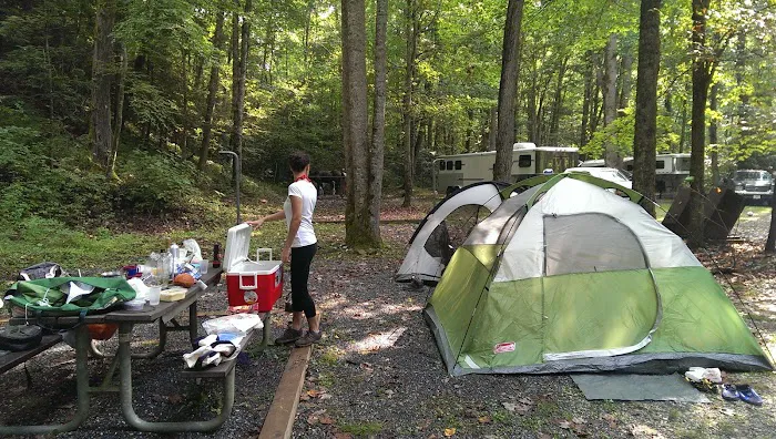 Round Bottom Campground 4
